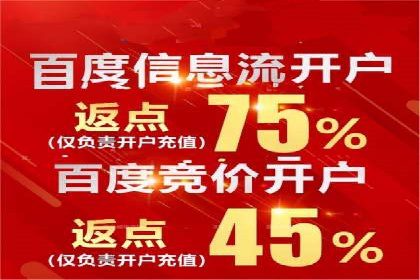百度竞价广告的创意执行：成功案例详解